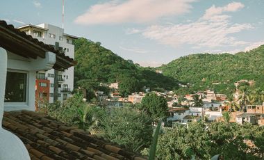 Edificio  Calendula