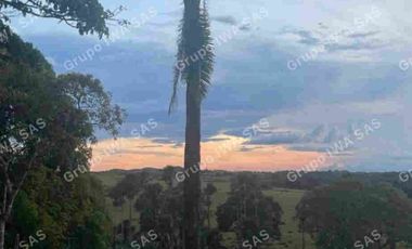 FINCA EN VENTA EN VEREDA LLANO GRANDE SAN MARTIN, META
