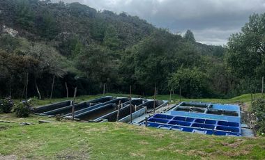 Finca en venta vereda Floresta en Guasca Cundinamarca