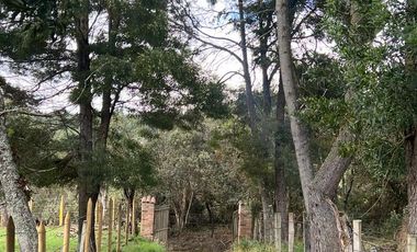 Finca en venta vereda Floresta en Guasca Cundinamarca