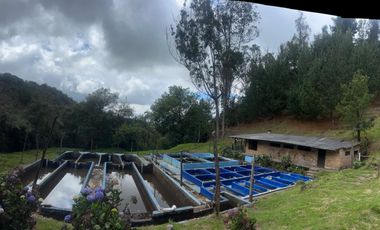 Finca en venta vereda Floresta en Guasca Cundinamarca