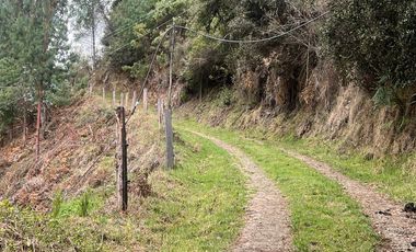 Finca en venta vereda Floresta en Guasca Cundinamarca