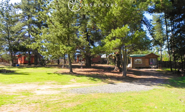Hermosa Cabaña / Algarrobo / 10 minutos de la playa. El Tabo