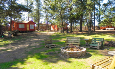 Hermosa Cabaña / Algarrobo / 10 minutos de la playa. El Tabo