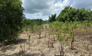 Residential Farm Camiling Tarlac