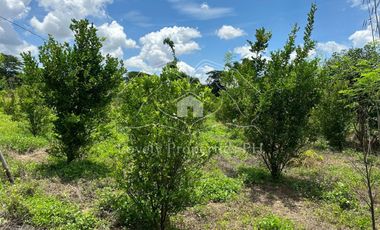 Residential Farm Camiling Tarlac