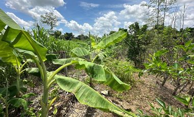 Residential Farm Camiling Tarlac