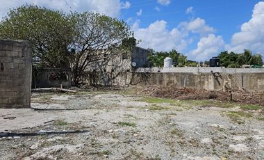 Se Renta Terreno de 1250 m2 Bardeado con Portón