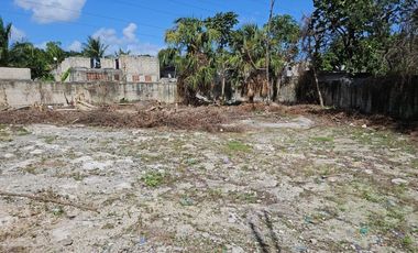 Se Renta Terreno de 1250 m2 Bardeado con Portón