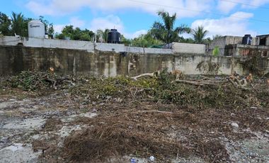 Se Renta Terreno de 1250 m2 Bardeado con Portón
