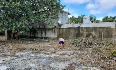Se Renta Terreno de 1250 m2 Bardeado con Portón