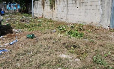 Se Renta Terreno de 1250 m2 Bardeado con Portón