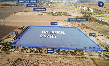TERRENO EN VENTA 9.07HA MEXICALI