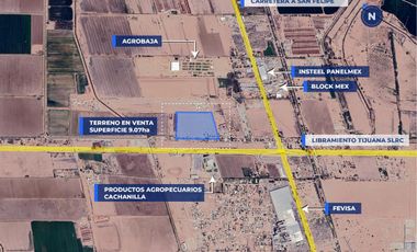TERRENO EN VENTA 9.07HA MEXICALI