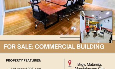 Commercial Lot for sale in Metro Manila, Mandaluyong City