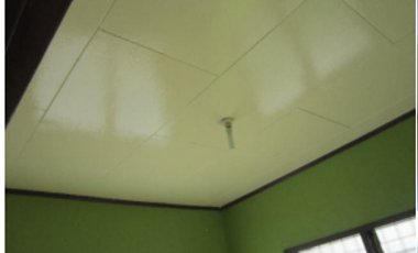 Brgy. Camague,Tomas Cabili, House and Lot For Sale