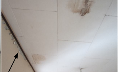 Brgy. Camague,Tomas Cabili, House and Lot For Sale