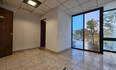 Insurgentes Sur 2376 Oficina 107, Chimalistac, Alvaro Obregón, Ciudad De México