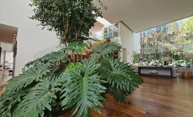 Agua 175 Casa 3, Jardines Del Pedregal, Alvaro Obregón, Ciudad De México