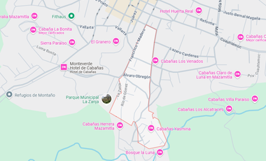 ¡¡OPORTUNIDAD DE INVERSIÓN TERRENO EN MAZAMITLA CENTRO!!