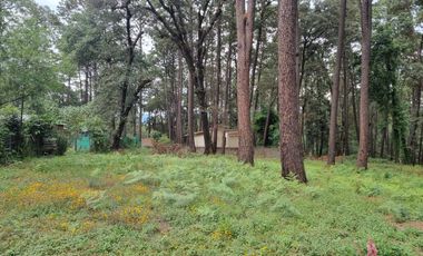 TERRENO CON ENTORNO DE BOSQUE, EN VENTA