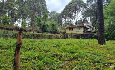 TERRENO CON ENTORNO DE BOSQUE, EN VENTA