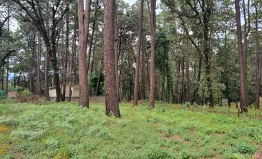 TERRENO CON ENTORNO DE BOSQUE, EN VENTA