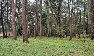 TERRENO CON ENTORNO DE BOSQUE, EN VENTA