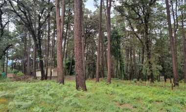 TERRENO CON ENTORNO DE BOSQUE, EN VENTA