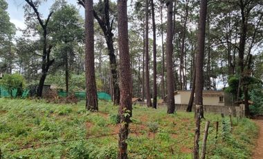 TERRENO CON ENTORNO DE BOSQUE, EN VENTA