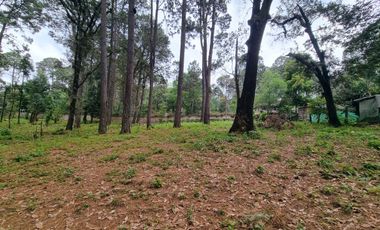TERRENO CON ENTORNO DE BOSQUE, EN VENTA