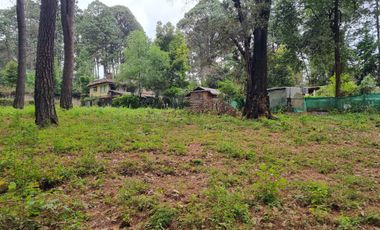 TERRENO CON ENTORNO DE BOSQUE, EN VENTA