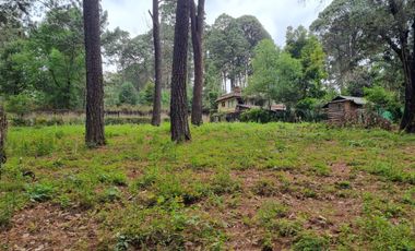 TERRENO CON ENTORNO DE BOSQUE, EN VENTA