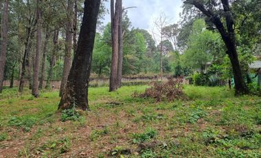TERRENO CON ENTORNO DE BOSQUE, EN VENTA