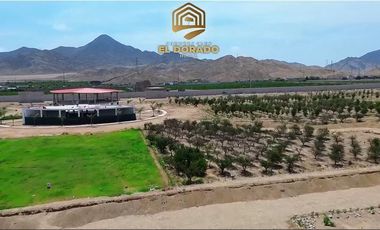 COUNTRY CLUD EL DORADO LOTES PARA CASA DE CAMPO CON TITULO DE PROPIEDAD INDEPENDIZADO REGISTRADO EN LA SUNARP. INMOBILIARIA GRUPO CALDEXA