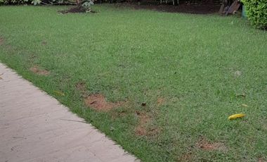 VENTA CASA PANCE UN PISO
