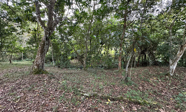 Lote en el condominio Santa Teresita