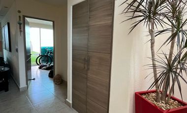 Casa en renta en la zona dorada de Cuernavaca