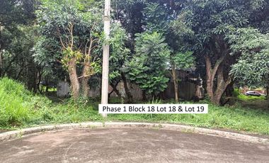 TIERRA VISTA LOT FOR SALE