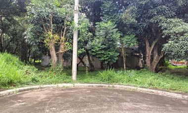 TIERRA VISTA LOT FOR SALE