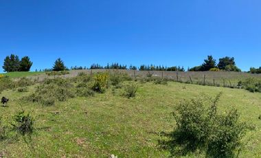 EN VENTA ESPECTACULAR FUNDO A 40 MINUTOS DE CONCEPCIÓN.