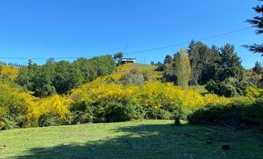 EN VENTA ESPECTACULAR FUNDO A 40 MINUTOS DE CONCEPCIÓN.