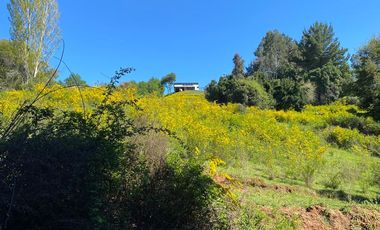 EN VENTA ESPECTACULAR FUNDO A 40 MINUTOS DE CONCEPCIÓN.