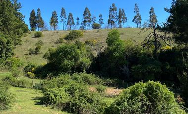 EN VENTA ESPECTACULAR FUNDO A 40 MINUTOS DE CONCEPCIÓN.