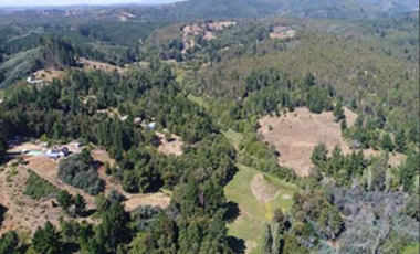 EN VENTA ESPECTACULAR FUNDO A 40 MINUTOS DE CONCEPCIÓN.