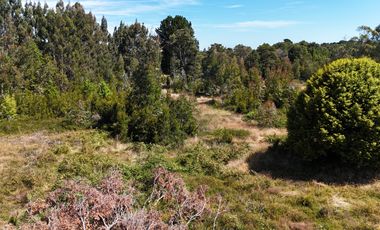Se vende Parcela En Puerto Montt Cercana A Valle Volcanes