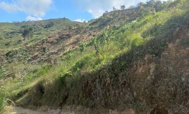 TE VENDO ESTE TERRENO BIEN BARATO EN BARBOSA ANTIOQUIA.