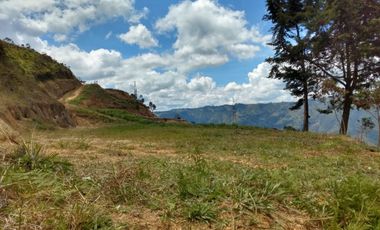 TE VENDO HERMOSO Y AMPLIO TERRENO EN BARBOSA ANTIOQUIA.