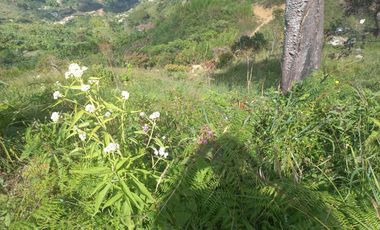 TE VENDO HERMOSO Y AMPLIO TERRENO EN BARBOSA ANTIOQUIA.