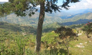 TE VENDO HERMOSO Y AMPLIO TERRENO EN BARBOSA ANTIOQUIA.
